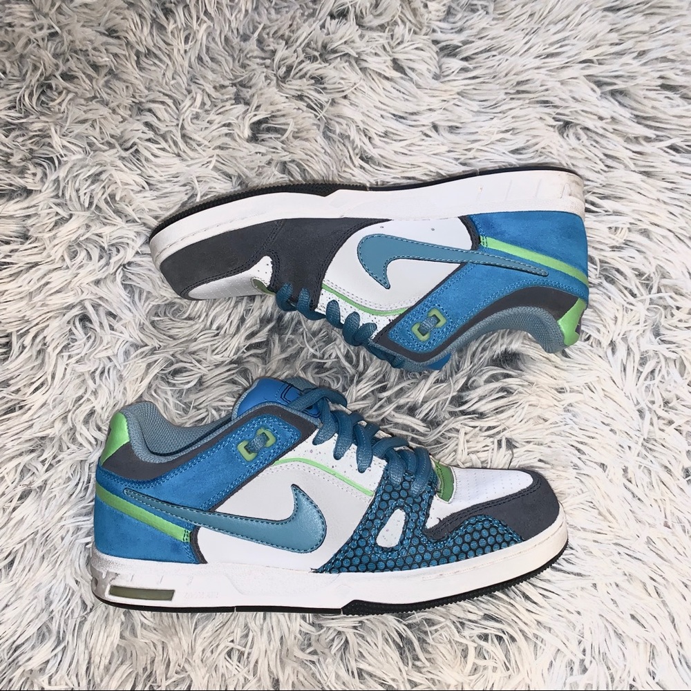 Nike skater sneakers (blue, green & white)